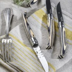 Opinel 4 Piece Birchwood Handle Steak Knife Set -Zwilling Shop 001829 4ctxlamelle Lifestyle