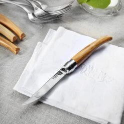 Opinel 4 Piece Olivewood Handle Steak Knife Set -Zwilling Shop 001830 4ctxOlivier Lifestyle e715b454 e555 471d b43f 178e49c036cd