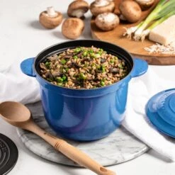Le Creuset Signature Cast Iron 2.25-quart Marseille Rice Pot With Stoneware Insert 14 Le Creuset Signature Cast Iron 2.25-quart Marseille Rice Pot With Stoneware Insert -Zwilling Shop 38533