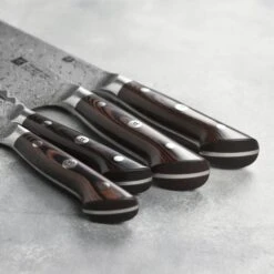 Zwilling Tanrei 5 Piece Magnetic Knife Stand Set 16 Zwilling Tanrei 5 Piece Magnetic Knife Stand Set -Zwilling Shop 3 4a1588e8 3303 4d77 8e62 9bf0cbae663d