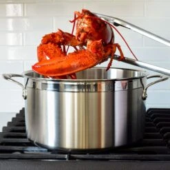Hestan ProBond 8-quart Stainless Steel Stock Pot 11 Hestan ProBond 8-quart Stainless Steel Stock Pot -Zwilling Shop 41363