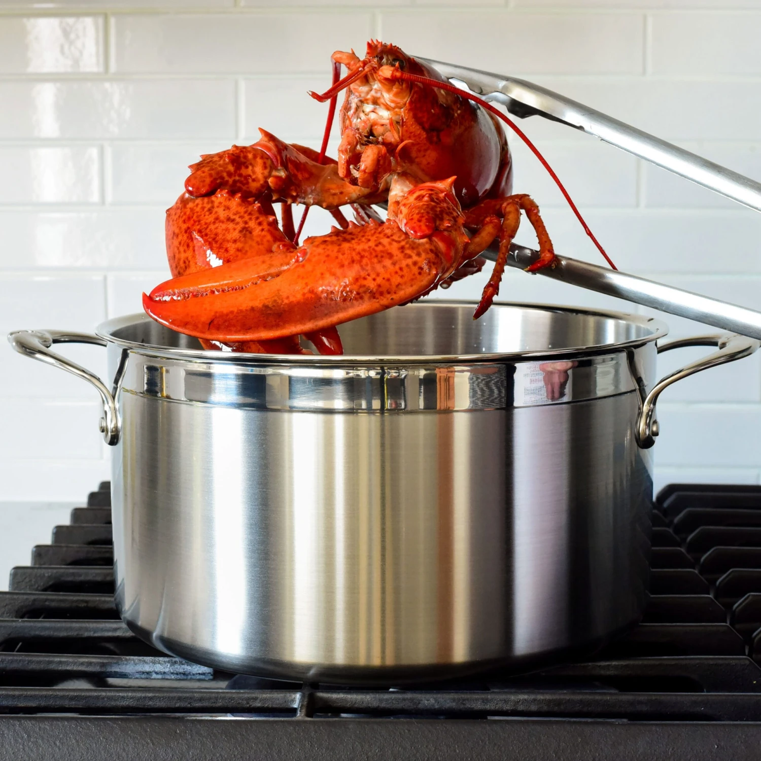 Hestan ProBond 8-quart Stainless Steel Stock Pot 5 Hestan ProBond 8-quart Stainless Steel Stock Pot - Image 3