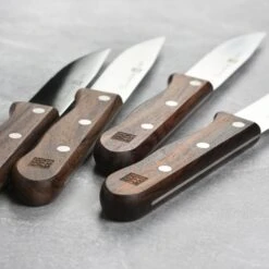 Zwilling 4 Piece Steakhouse Steak Knife Set With Storage Case -Zwilling Shop 41634