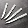 Wusthof Gourmet 4 Piece Steak Knife Set With White Handles -Zwilling Shop 44083