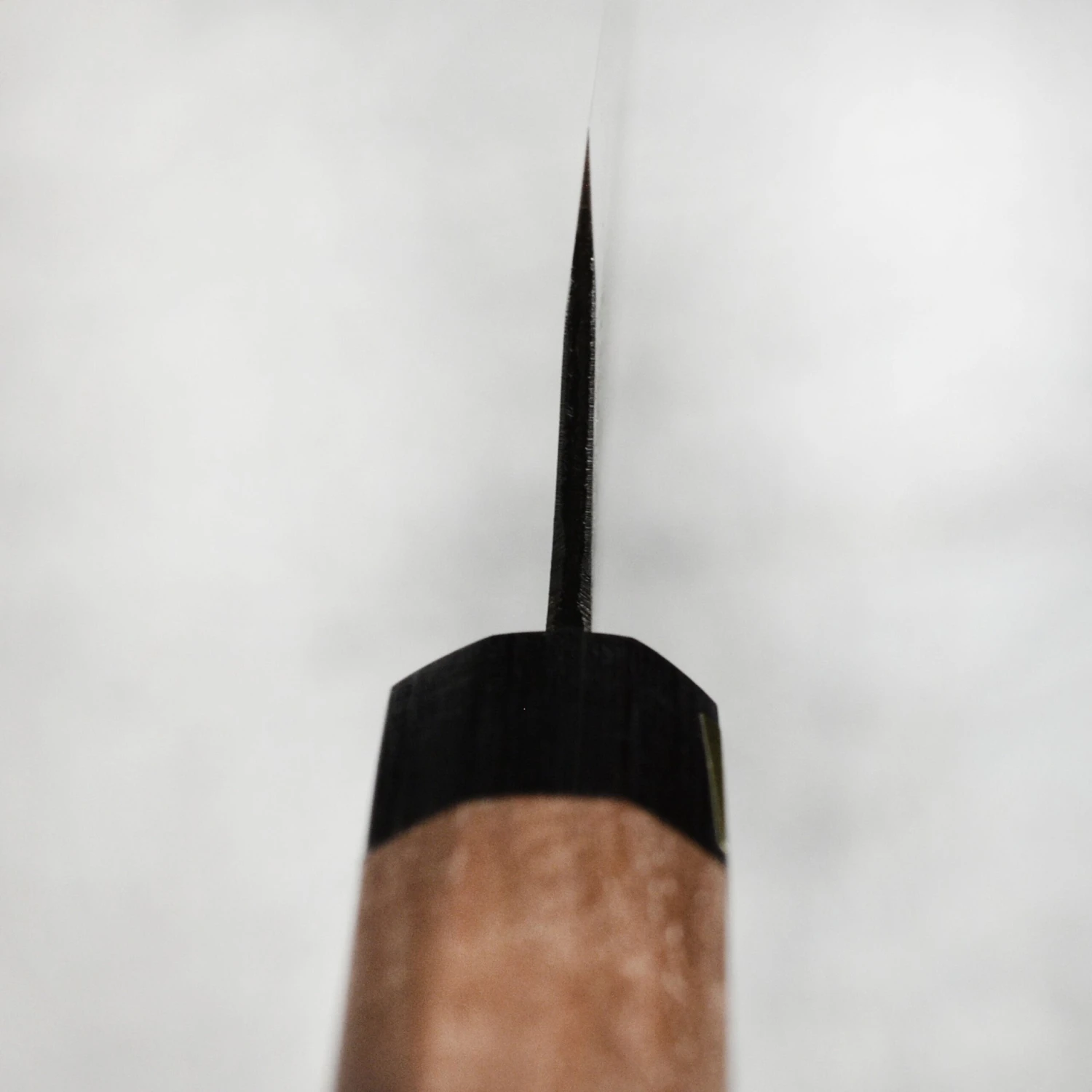 Moritaka 6.5" Aogami Super Carbon Steel Nakiri 9 Moritaka 6.5" Aogami Super Carbon Steel Nakiri - Image 7