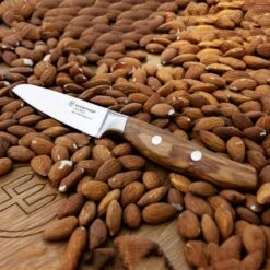 Wusthof Amici 3.5" Paring Knife 13 Wusthof Amici 3.5" Paring Knife -Zwilling Shop 46824