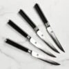 Shun Classic 4 Piece Steak Knife Set -Zwilling Shop 47089