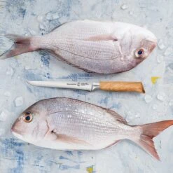 Messermeister Oliva Elite 6" Boning Knife 13 Messermeister Oliva Elite 6" Boning Knife -Zwilling Shop 48068