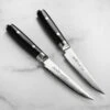 Yaxell Ran Plus 2 Piece Steak Knife Set -Zwilling Shop 49159