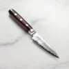 Yaxell Super Gou SG2 4" Paring Knife -Zwilling Shop 49214