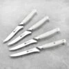 Zwilling Pro Le Blanc 4 Piece Steak Knife Set