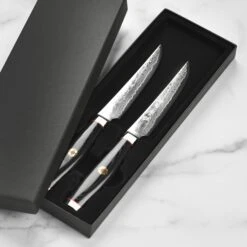 Enso SG2 2 Piece Steak Knife Set -Zwilling Shop 49985