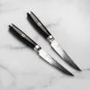 Enso SG2 2 Piece Steak Knife Set -Zwilling Shop 49986