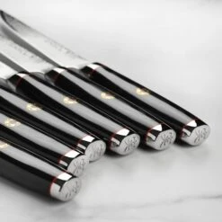 Enso SG2 6 Piece Steak Knife Set With Case 16 Enso SG2 6 Piece Steak Knife Set With Case -Zwilling Shop 49989