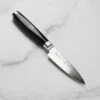 Enso SG2 4" Paring Knife -Zwilling Shop 50002