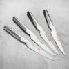 Global Ukon 4 Piece Steak Knife Set