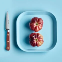 Wusthof Classic 3.5" Tasty Sumac Paring Knife 13 Wusthof Classic 3.5" Tasty Sumac Paring Knife -Zwilling Shop 52740