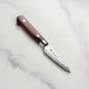 Takayuki Hammered Damascus 3.1" Petty -Zwilling Shop 57442