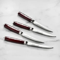 Yaxell Super Gou SG2 4 Piece Steak Knife Set