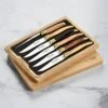 Laguiole En Aubrac 6 Piece Steak Knife Set With Burl Mixed Wood Handles & Brass Bolsters -Zwilling Shop 6 Piece Steak Knife Sets d1ac8fe4 1c15 4211 ad96 c172fe3f6d52