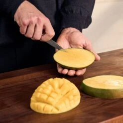 Zwilling Spectrum 4" Paring Knife -Zwilling Shop 750073127