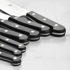 Zwilling Twin Gourmet 18 Piece Knife Block Set -Zwilling Shop DSC 0549