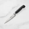 Zwilling Four Star 4" Paring Knife -Zwilling Shop DSC 0687