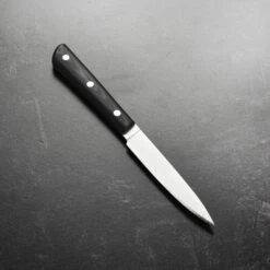 K Sabatier 200th Anniversary Nitrogen Stainless 4" Paring Knife 13 K Sabatier 200th Anniversary Nitrogen Stainless 4" Paring Knife -Zwilling Shop DSC 1117