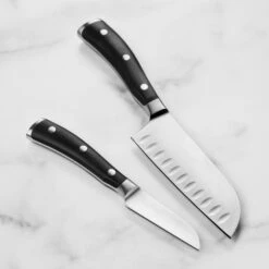 Wusthof Classic Ikon 2 Piece Santoku & Paring Knife Set -Zwilling Shop DSC 1689
