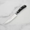 Wusthof Classic Ikon 4.5" Steak Knife -Zwilling Shop DSC 1779