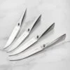 Chroma Type 301 4 Piece Steak Knife Set