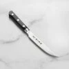 Tojiro Classic 4.5" Steak Knife -Zwilling Shop DSC 2438