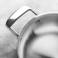 Demeyere Black 9.5" Double Handle Fry Pan -Zwilling Shop DSC 2554