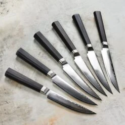 Nexus 6 Piece Damascus Steak Knife Set With Case -Zwilling Shop DSC 3340