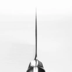 Maestro Wu 6.5" Chinese Cleaver 14 Maestro Wu 6.5" Chinese Cleaver -Zwilling Shop DSC 3707 1