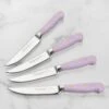 Wusthof Classic 4 Piece Purple Yam Steak Knife Set -Zwilling Shop DSC 3717