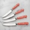 Wusthof Classic 4 Piece Coral Peach Steak Knife Set