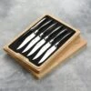 Laguiole En Aubrac 6 Piece Stainless Steel Steak Knife Set With Solid Horn Handles -Zwilling Shop DSC 4674 f1f21086 af0f 4ef0 8801 c184553d6199