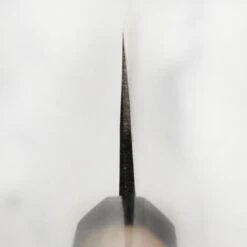 Takayuki Aogami Kurouchi 9.4" Gyuto -Zwilling Shop DSC 4927