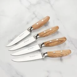 Wusthof Amici 4 Piece Steak Knife Set