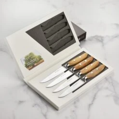 Wusthof Amici 4 Piece Steak Knife Set -Zwilling Shop DSC 6032 2