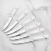 Wusthof Gourmet 6 Piece Steak Knife Set With White Handles -Zwilling Shop DSC 6034