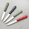 Opinel 4 Piece Paring Knife Set 2 Opinel 4 Piece Paring Knife Set -Zwilling Shop DSC 7166
