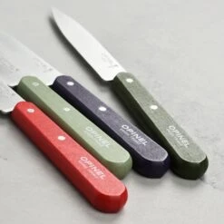 Opinel 4 Piece Paring Knife Set -Zwilling Shop DSC 7167 620d6544 781e 4287 add8 62a5a20dd85b