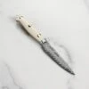 Kramer Cumulus 4" Paring Knife 1 Kramer Cumulus 4" Paring Knife -Zwilling Shop DSC 7616