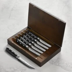 Enso HD 6 Piece Steak Knife Set With Case
