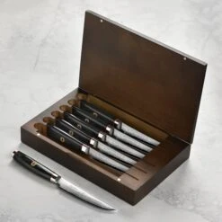 Enso SG2 6 Piece Steak Knife Set With Case