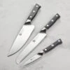 Zwilling Spectrum 3 Piece Knife Set -Zwilling Shop DSC 8817