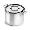 Demeyere 5-Plus 8-quart Stainless Steel Stock Pot -Zwilling Shop Demeyere5 Plus8 quartStainlessSteelStockPot