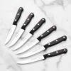 Wusthof Gourmet 6 Piece Steak Knife Set